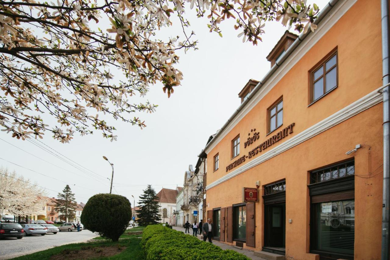 Voeroes Guest House Tîrgu Secuiesc Buitenkant foto