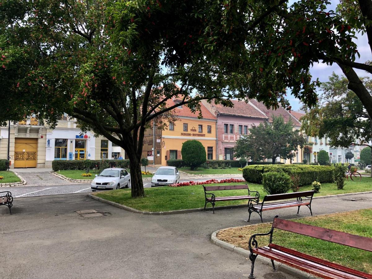 Voeroes Guest House Tîrgu Secuiesc Buitenkant foto