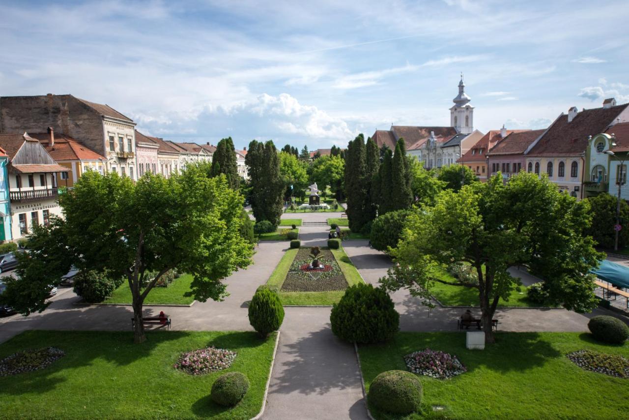 Voeroes Guest House Tîrgu Secuiesc Buitenkant foto