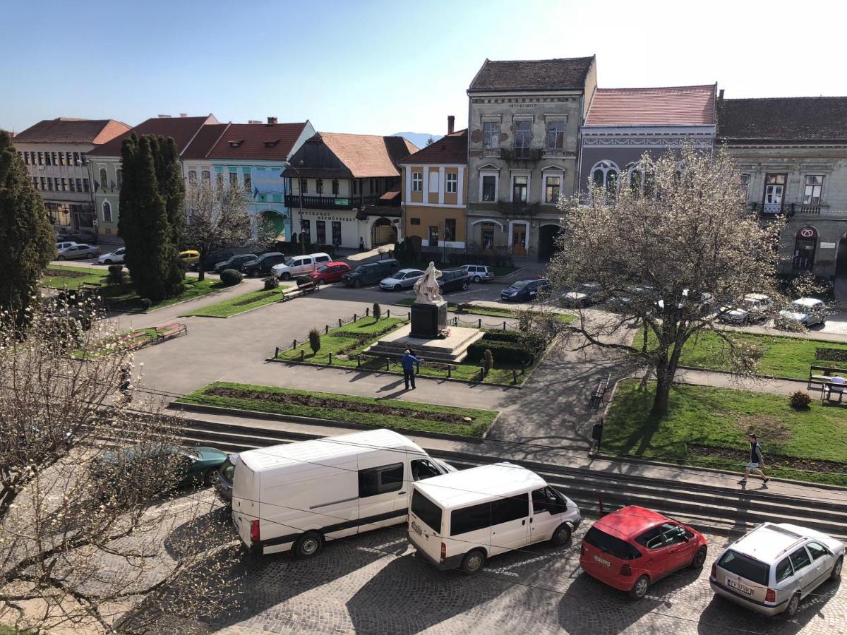 Voeroes Guest House Tîrgu Secuiesc Buitenkant foto