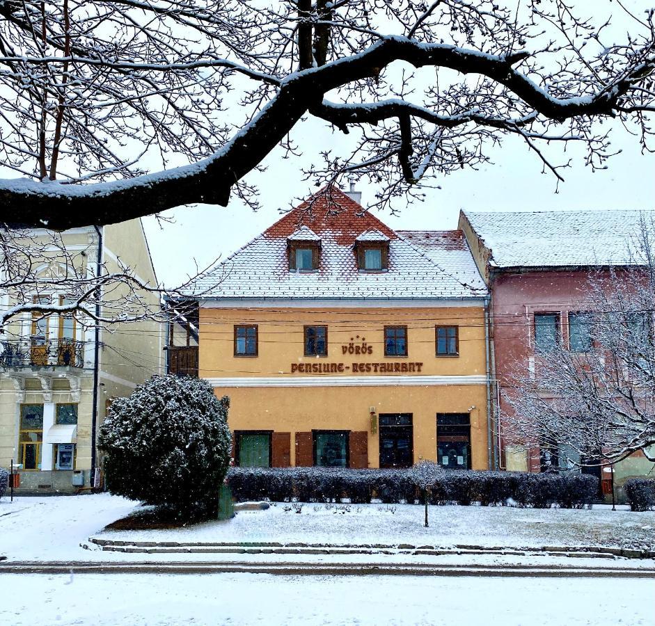 Voeroes Guest House Tîrgu Secuiesc Buitenkant foto